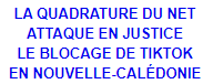 La quadrature du net attaque en justice le blocage de tiktok en nouvelle-caldonie